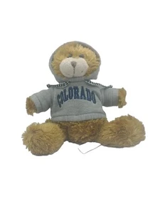 Sudadera con capucha gris Colorado de oso de peluche - Imagen 1 de 10