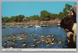 Tarpon Springs Florida Boy-Retrieving the Cross Greek Orthodox postcard-DZ - Picture 1 of 2