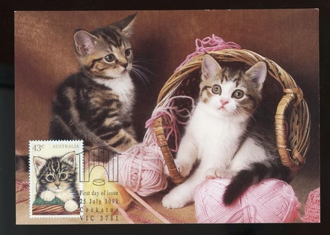 AUSTRALIA 1991 MAXI-CARD, CATS !! G14 Cover