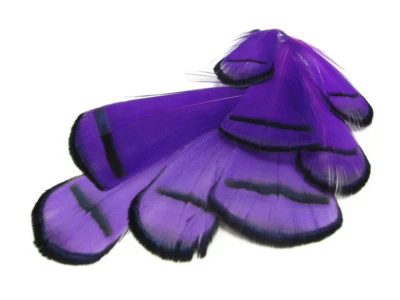 1 Dozen Purple Lady Amherst Pheasant Tippet Feathers Jewelry Accessories Craft - Image 1 of 4