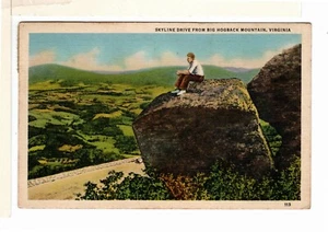 Linen Postcard Big Hogback Mountain Virginia Skyline Drive Posted 1938-DB1 - Picture 1 of 2