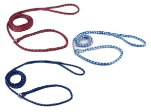 Braided Poly Dog Leads Slip Style Kennel Pet Leash O Ring 5ft Long Choose Color - Picture 1 of 19