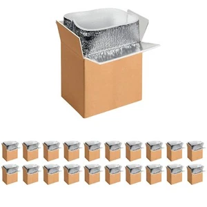 20 Pack Insulated Shipping Boxes with Aluminum Foil Liner Reusable Box 6''x5''x9 - Picture 1 of 8