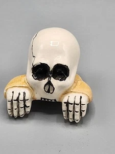 Estudio Arte Calavera Estante Decoración Inusual - Imagen 1 de 5