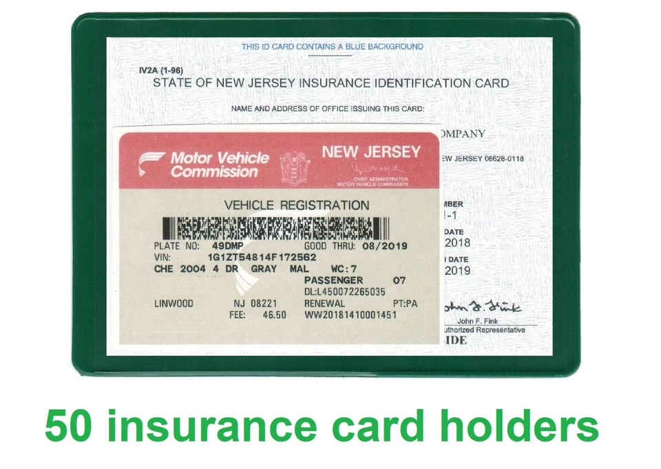 50 Titular del Seguro Tarjeta de Registro Documento Auto Organizador Verde Foto 1 de 1