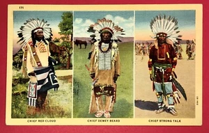 Postcard Native American Lakota Chiefs - Red Cloud  Dewey Beard  Strong Talk - Picture 1 of 2