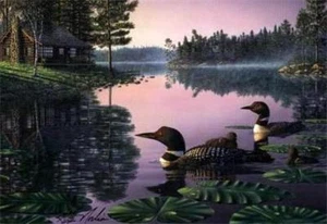 Northern Tranquility Loon Print By Kim Norlien Image 10"x 7" Plus White Margin - Picture 1 of 1