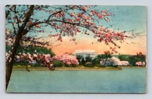 Lincoln Memorial Washington DC Cherry Blossoms Postcard 1930 Hand Colored - Picture 1 of 2