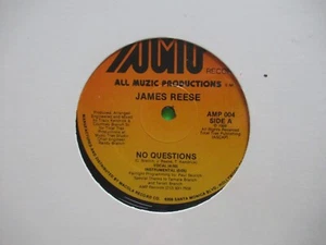 SEALED / JAMES REESE NO QUESTIONS 12" SINGLE PRIVATE PRESS ELECTRO - Picture 1 of 2