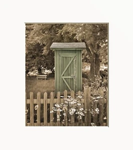 Outhouse Cows Modern Farmhouse Bathroom or Bedroom Green Matted Wall Art Print - Picture 1 of 8