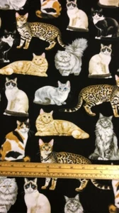 Fat Quarter Feline Fancy Cats On Black 100% Cotton Quilting Fabric - Picture 1 of 1