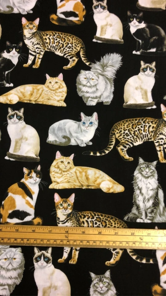 Fat Quarter Feline Fancy Cats On Black 100% Cotton Quilting Fabric - Image 1 of 1