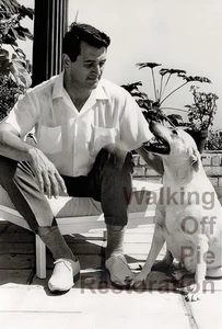 Star del cinema Rock Hudson e cane ristampa 4x6 collezione Gay Estate - Foto 1 di 2