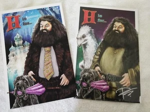 Harry Potter 9X10 {2} Hagrid Kunstdruck GEEK GEAR WIZARDRY Regular und Variante - Bild 1 von 3