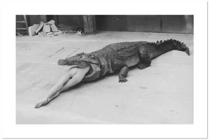 Helmut Newton, 'Cocodrilo', impresión artística, varios tamaños - Imagen 1 de 3