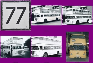 5 Fotos, BVG, Büssing D2U/DE, Linie 77-77E, 1960er (2010) - Bild 1 von 1
