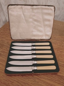 Vintage Gift Set 6 x Faux Bone Handle TEA / BUTTER CUTLERY - EPNS Silver Plated - Picture 1 of 11