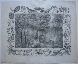Piante e animali del bosco botanica 3 grandi orig. Litografie 1860 - Foto 1 di 11