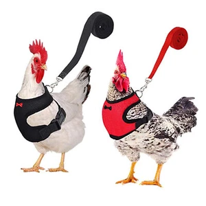 Chicken Harness And Rope Adjustable Small Pets Vest Duck Harness With Rope - Picture 1 of 16
