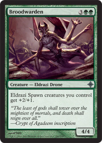 Broodwarden ~ Lightly Played Rise of the Eldrazi MTG Magic UltimateMTG Green Car - Image 1 of 1