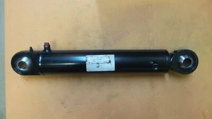 Prinoth 118812359 Hydraulic Lift Cylinder Snow Groomer Bison X BR350 OEM NEW - Bild 1 von 7