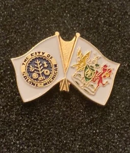 City Of Saline Michigan Dual Flag Coat Of Arms Gold Tone Lapel Pin - SP5 - Picture 1 of 3