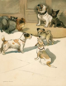 BULLDOG BLOBBS SCOTTIE FOX TERRIER PUG RARO 1927 IMPRESIÓN ARTÍSTICA PARA PERROS por VERNON STOKES - Imagen 1 de 1
