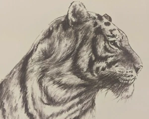 Disney Art Director Jean Paul Orpinas Tiger Print Signed by the Artist - Picture 1 of 4