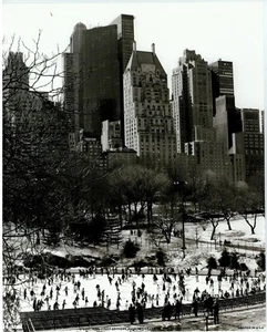 (8 x 10) Art Print CB0129 Chris Bliss Central Park - Picture 1 of 1