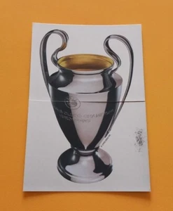 COPPA CAMPIONI 2 Figurine Panini UEFA CHAMPIONS LEAGUE 2012 2013 OTTIMA MINT - Foto 1 di 2