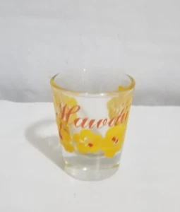 Shot Glass Hawaii 1994 vintage - Imagen 1 de 2