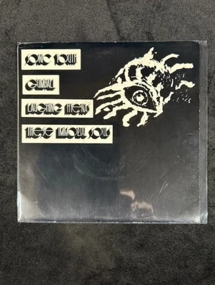 Sonic Youth~Is It My Body & Laughing Hyenas~Public Animal #9 7" 45 Only 1 of 2 R - Image 1 of 4