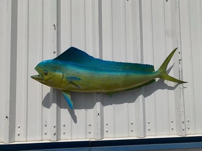 Réplica de Montagem de Peixe de Dois Lados Cow Dolphin (Mahi) de 42" - Produção Rápida - Imagem 1 de 4
