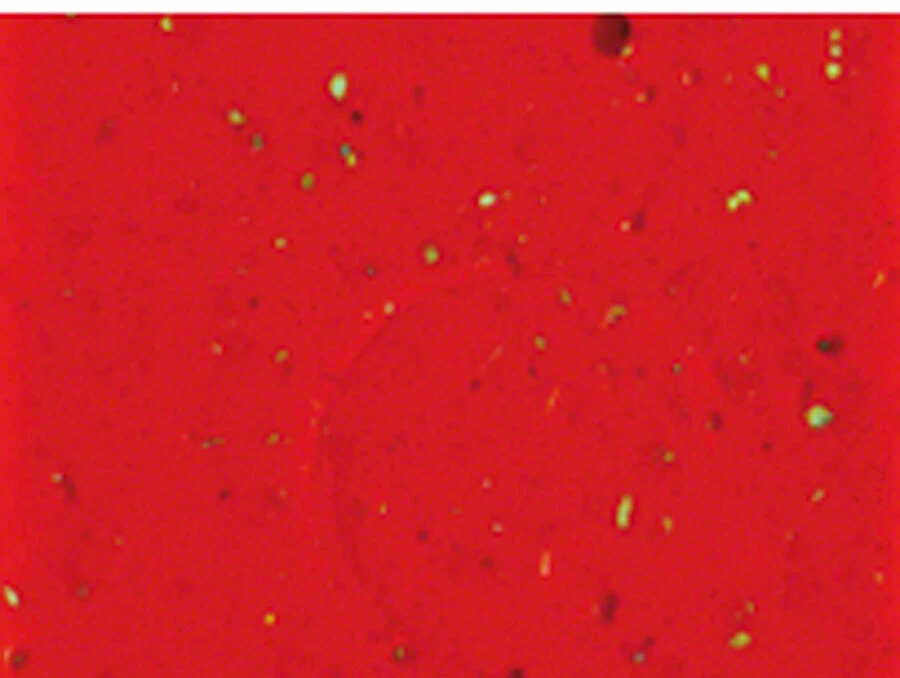 Cinelli Cork Ribbon Handlebar Tape - Red - Image 1 of 1