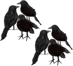 ZODIFEVI 6 Pack Realistic Crows, Real Touch Black Feathered Crows, Halloween - Picture 1 of 8