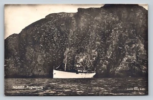 RPPC Ship By Bird Mountain Shore in Norway, Birds Flying VINTAGE Postcard - Picture 1 of 2