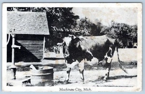 1946 THIS IS NO BULL MACKINAW CITY MICHIGAN HUMOROUS VINTAGE POSTCARD - Picture 1 of 2