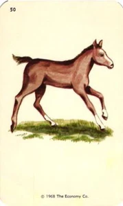 1968 Kindergarten Lernkarte Young Colt #50 Economy Co. Smash Book Sammelalbum - Bild 1 von 1