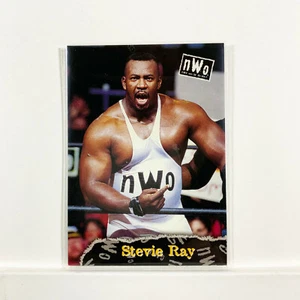 Stevie Ray - Topps 1998 WCW NWO Wrestling Card #34 - Bild 1 von 2