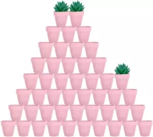 48 Pcs 2" Tiny Terracotta & Terra Cotta Pots with Drainage - Peach Pink Small Mi - Picture 1 of 12