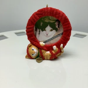 2004 Hallmark Special Cat Photo Holder Ornament - Bild 1 von 11