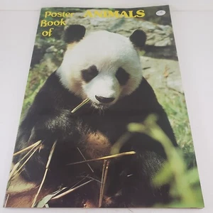 24 carteles libro de animales color brillante pingüino panda jaguar tigre 10""x14"" 1982 - Imagen 1 de 6
