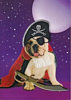 PAPYRUS HALLOWEEN CARD NIP MSRP $6.95 PIRATE BULLDOG CARD (C1) - Image 1 of 2