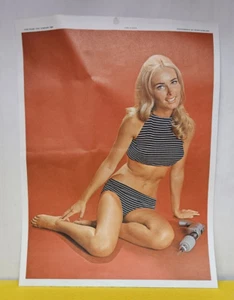 Calendario vintage Rigid Tool Co. Pinup Girl 1969-1970 - Imagen 1 de 4