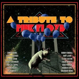 Various Artists A Tribute To Pink Floyd / Various Double CD NEW - Picture 1 of 1