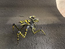 Starship Troopers Warrior Uropygi GK Resin Painted Finished Figure Model Instock