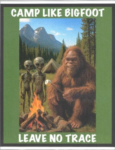 2er Set "CAMP LIKE BIGFOOT LEAVE NO TRACE" 9x11,5 laminierte Schilder für ManCave - Bild 1 von 1