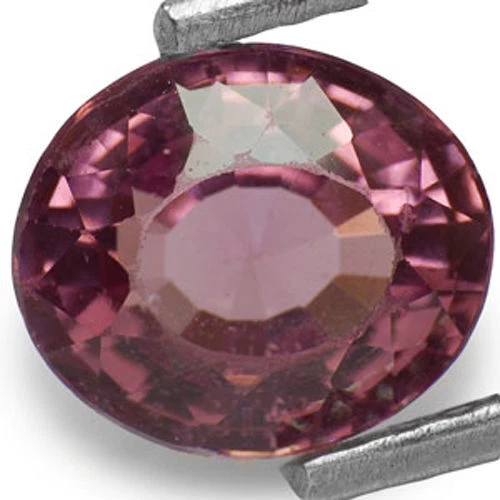 SRI LANKA Spinel 1.81 Cts Natural Untreated Vivid Pink Oval - Image 1 of 1