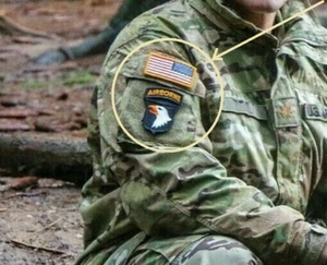 JSOC JTF SCREAMING EAGLES 101st AIRBORNE SET (iron-on) + REVERSED US vêlkrö FLAG - Picture 1 of 3