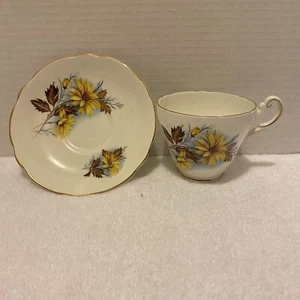 Vintage Daisy Tea Cup and Saucer Regency Bone China From England - Picture 1 of 11